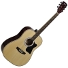 Ever Play AP-400 N Ever Play AP-400 N